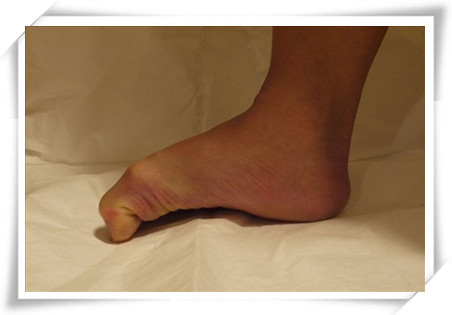 ex_52aea45f68fed_副本