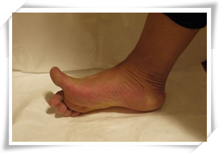 ex_52aea4603099b_副本