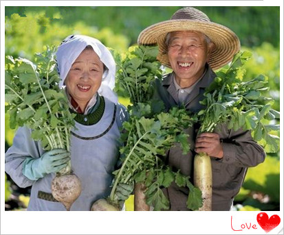 021839dzq2f7eddmqnmhrt_副本