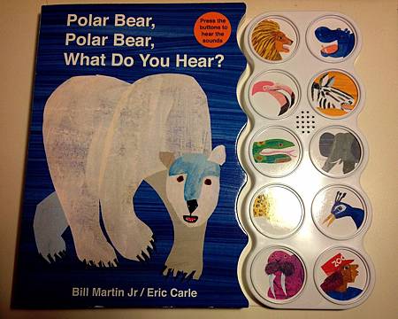 Polar bear Polar bear