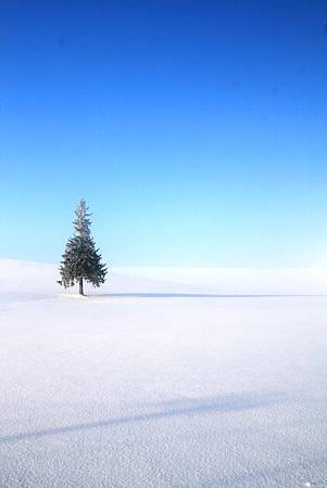 IMG_2257R.jpg IMG_2257R.jpg