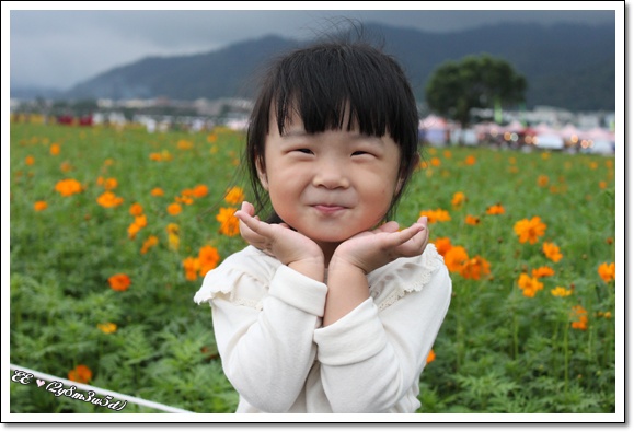 黃色波斯菊前擺pose.jpg 黃色波斯菊前擺pose.jpg