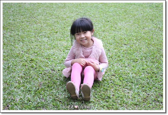 EE草地上 EE草地上