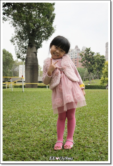 EE與瓶樹 EE與瓶樹