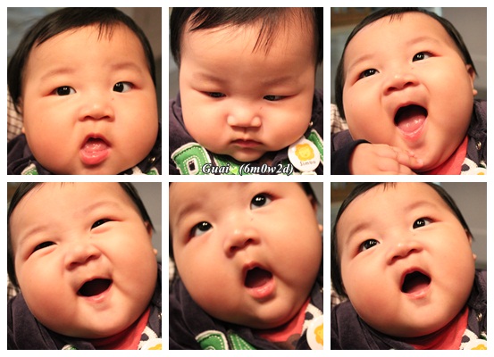 六圖近拍乖 六圖近拍乖