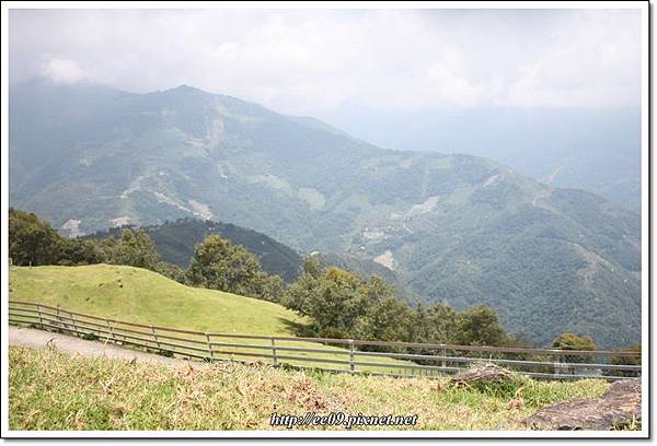 小路邊的景色.JPG 小路邊的景色.JPG