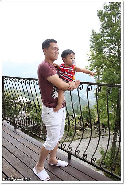 父子看牛.JPG 父子看牛.JPG