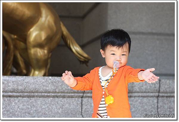 馬前好像介紹手勢 馬前好像介紹手勢