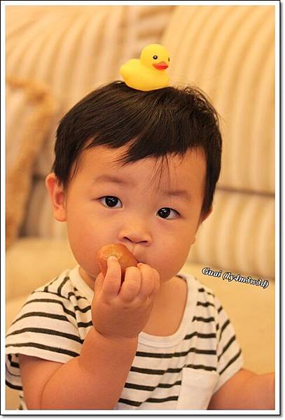 乖乖頭上頂小鴨 乖乖頭上頂小鴨