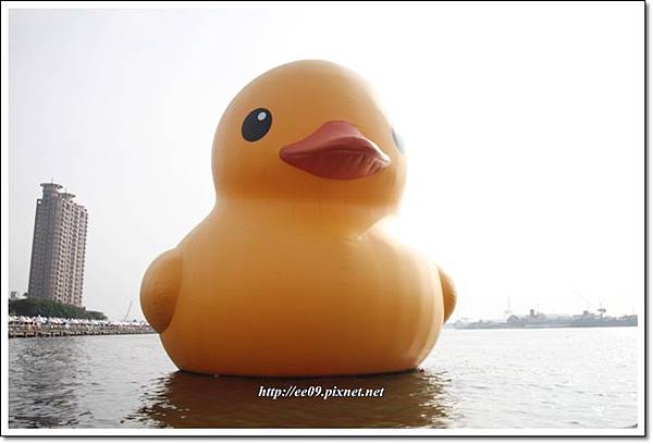 高雄小鴨 高雄小鴨