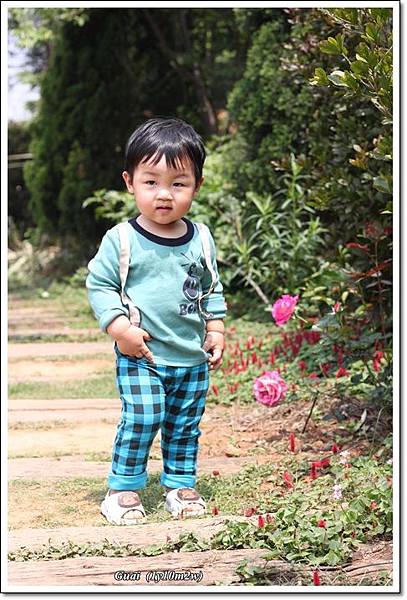 乖乖看完花.JPG 乖乖看完花.JPG