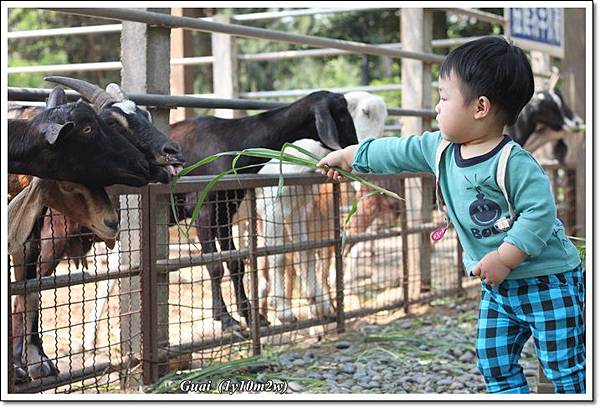 乖手伸長長.JPG 乖手伸長長.JPG