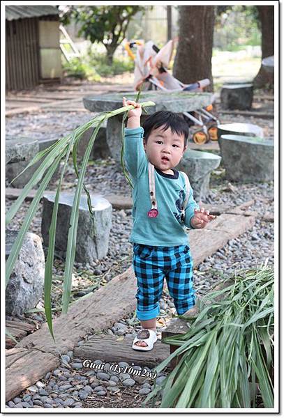 乖乖拿牧草.JPG 乖乖拿牧草.JPG