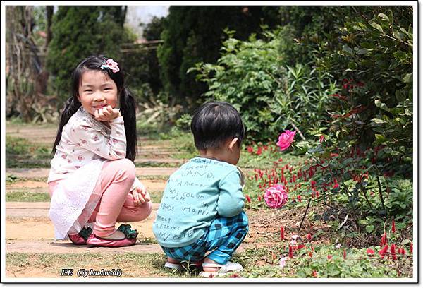 姐回眸弟看花.JPG 姐回眸弟看花.JPG