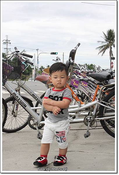 乖遲遲不走.JPG 乖遲遲不走.JPG