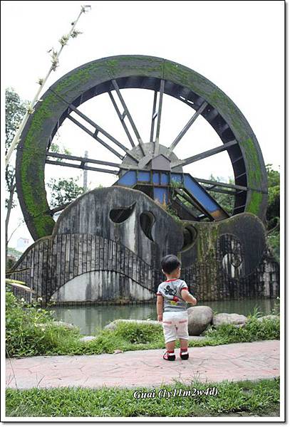 乖大水車前.JPG 乖大水車前.JPG