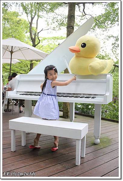 EE比鋼琴上的小鴨.JPG EE比鋼琴上的小鴨.JPG