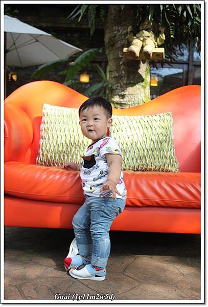 乖乖沙發前.JPG 乖乖沙發前.JPG