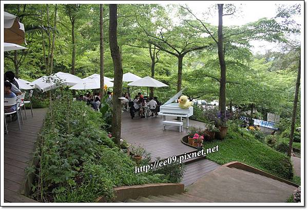 鋼琴周邊景.JPG 鋼琴周邊景.JPG