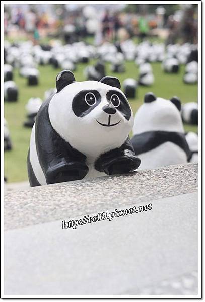 0830快閃貓熊-10.JPG