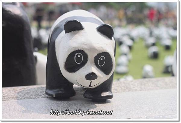 0830快閃貓熊-9.JPG