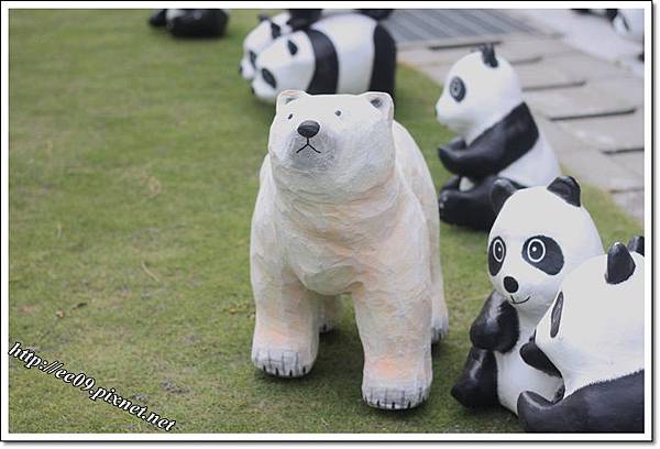 0830快閃貓熊-12.JPG