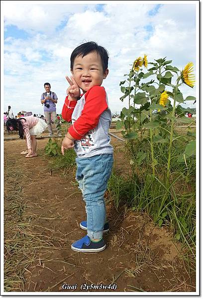花海-11.jpg 花海-11.jpg