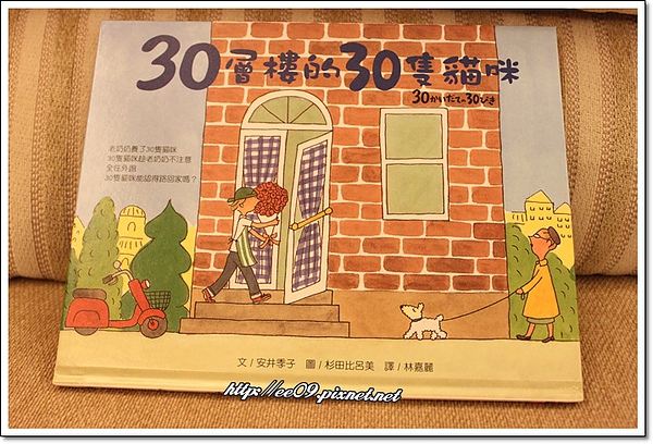 30層樓的30隻貓咪.jpg 30層樓的30隻貓咪.jpg