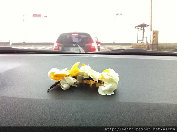 IMG_8793.JPG IMG_8793.JPG