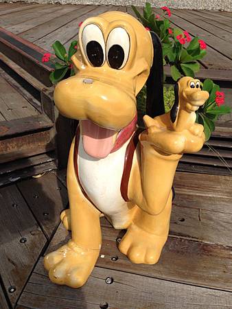 新化街役場前的可愛狗