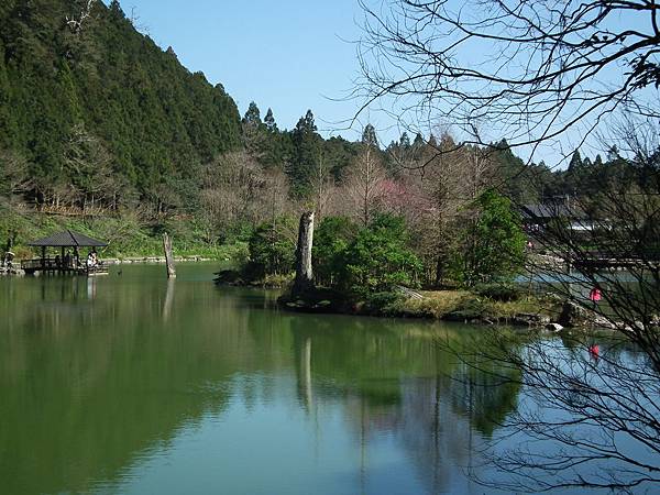1-DSCF4023 1-DSCF4023