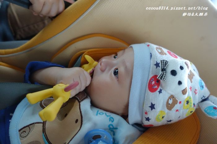 DSC07161.jpg DSC07161.jpg