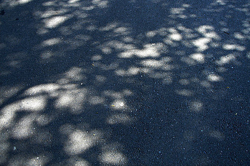 圖:不解風情-1.jpg 圖:不解風情-1.jpg