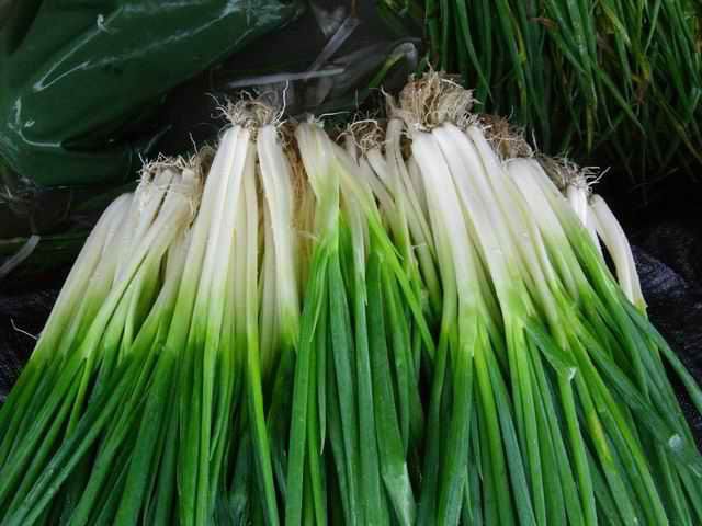 蔥白.jpg 蔥白.jpg