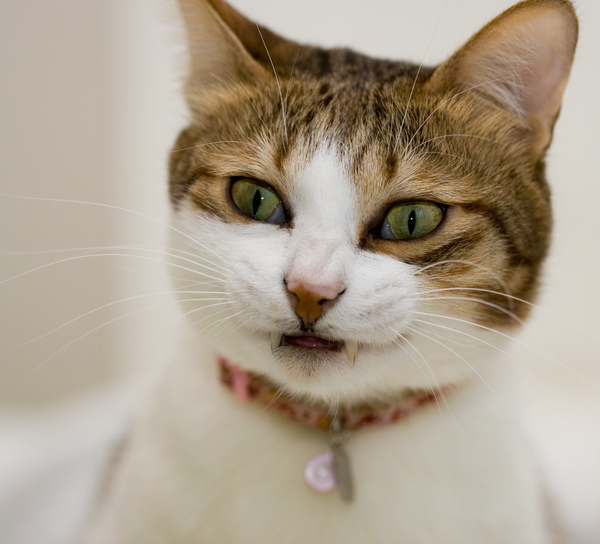 IMG_3904.jpg IMG_3904.jpg