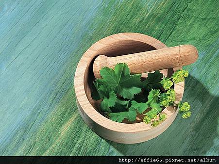 [wallcoo_com]_HQ-Hurb-Life-Images (96).jpg