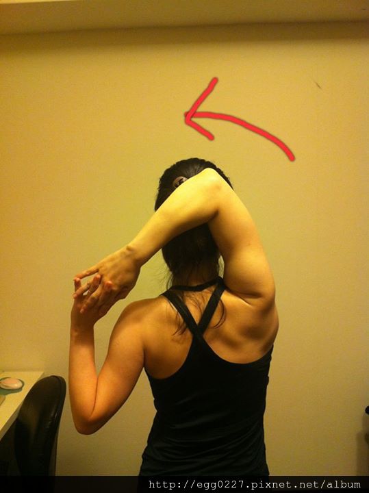 944290_405243586252689_1460518526_n 944290_405243586252689_1460518526_n