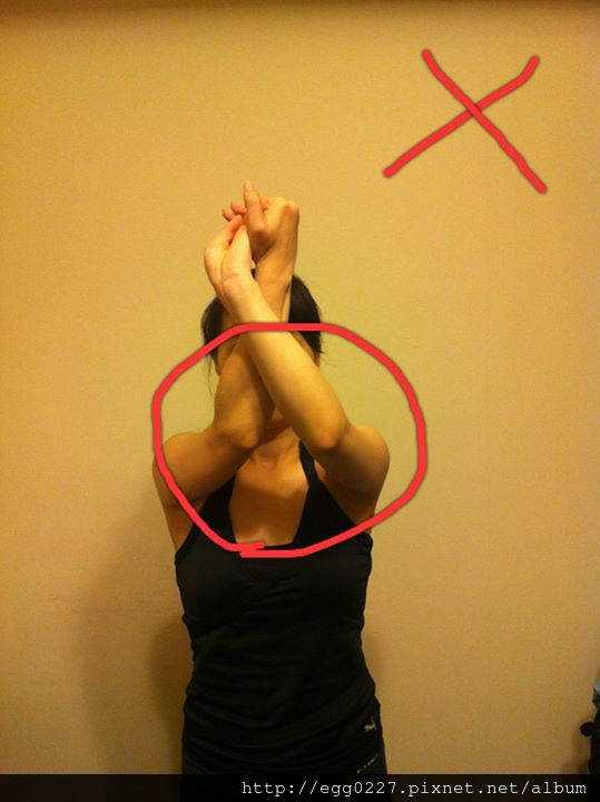 994242_405246502919064_385551272_n 994242_405246502919064_385551272_n