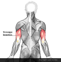 992929_405231826253865_1825820073_n 992929_405231826253865_1825820073_n