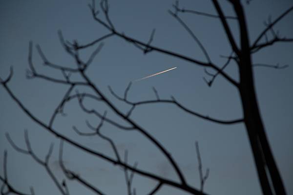 11185107456_11ed2684e8_o 11185107456_11ed2684e8_o