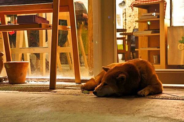 10891633_10152987998044470_6298703797367649548_n 10891633_10152987998044470_6298703797367649548_n