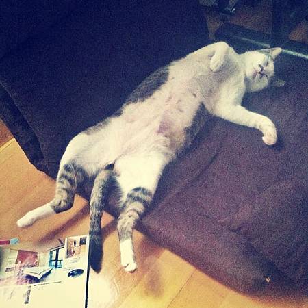 1016267_641893272488893_1227817737_n