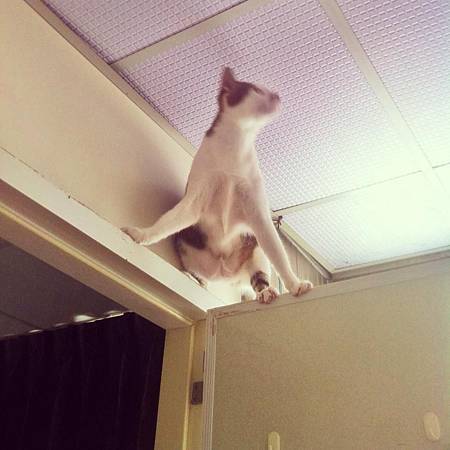 999698_642977629047124_1617443525_n