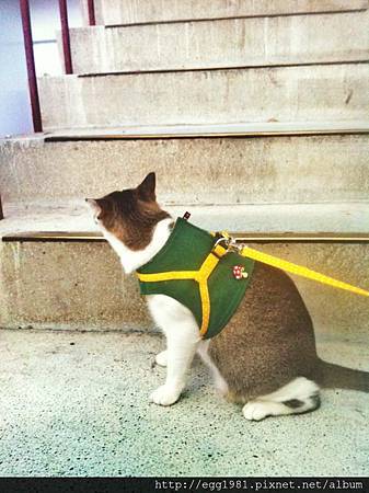 1148787_652151008129786_1085086873_n