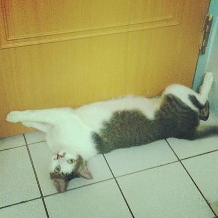 946710_649601551718065_570350152_n