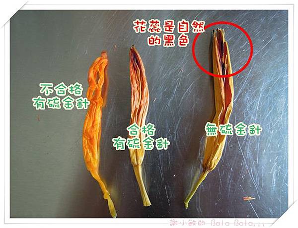 DSCN5482.JPG DSCN5482.JPG