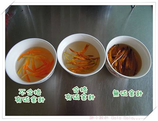 DSCN5490.JPG DSCN5490.JPG