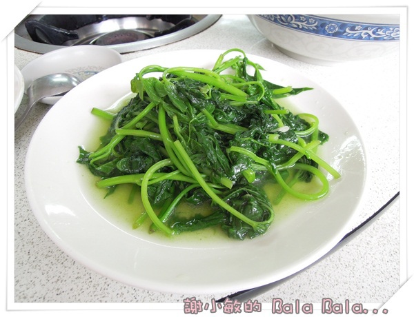 DSCN8021.JPG DSCN8021.JPG