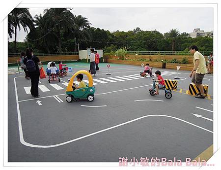 DSCN9691.JPG DSCN9691.JPG