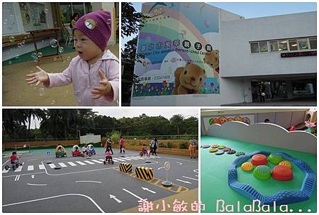 cats26.jpg cats26.jpg